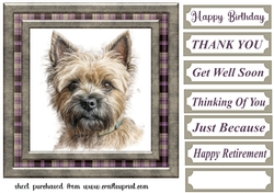 Cairn terrier card front 5