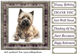 Cairn terrier card front 6