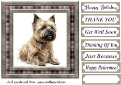 Cairn terrier card front 7