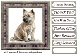 Cairn terrier card front 8