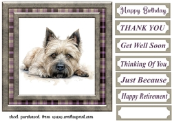 Cairn terrier card front 9