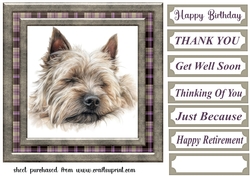 Cairn terrier card front 10