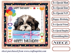 Pup Happy Birthday card front 22