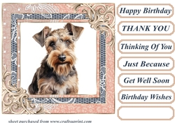 Wire haired Fox terrier card front 1