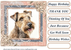 Wire haired Fox terrier card front 2
