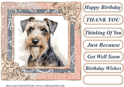 Wire haired Fox terrier card front 3