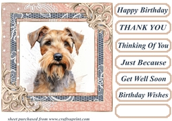 Wire haired Fox terrier card front 4