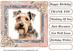 Wire haired Fox terrier card front 5