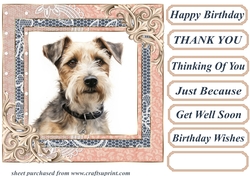 Wire haired Fox terrier card front 6