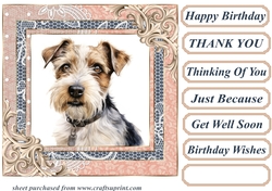 Wire haired Fox terrier card front 7