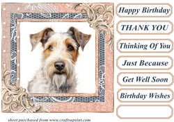 Wire haired Fox terrier card front 8