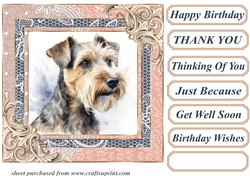 Wire haired Fox terrier card front 14