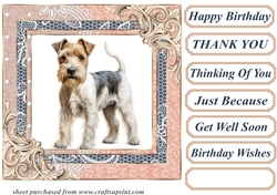 Wire haired Fox terrier card front 15