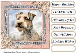 Wire haired Fox terrier card front 17