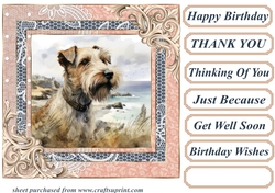 Wire haired Fox terrier card front 18