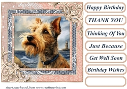 Wire haired Fox terrier card front 19