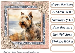 Wire haired Fox terrier card front 20
