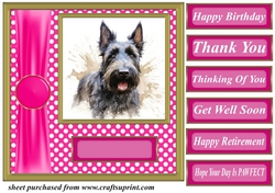 Its all about the splash Scottish terrier card front 1