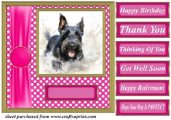 Its all about the splash Scottish terrier card front 2