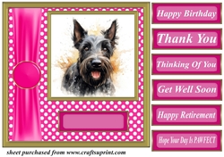 Its all about the splash Scottish terrier card front 3
