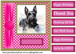 Its all about the splash Scottish terrier card front 4