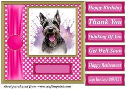 Its all about the splash Scottish terrier card front 6