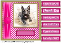 Its all about the splash Scottish terrier card front 7