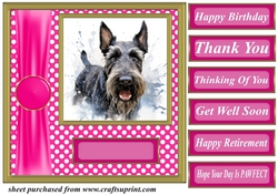 Its all about the splash Scottish terrier card front 9