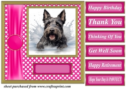 Its all about the splash Scottish terrier card front 10