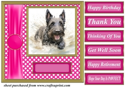 Its all about the splash Scottish terrier card front 11