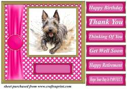 Its all about the splash Scottish terrier card front 12