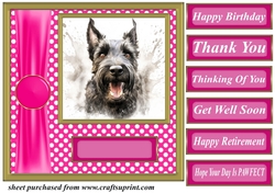 Its all about the splash Scottish terrier card front 13