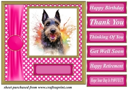Its all about the splash Scottish terrier card front 14