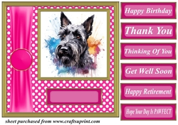 Its all about the splash Scottish terrier card front 15