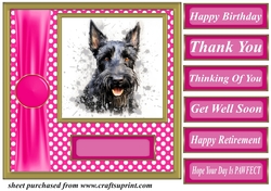 Its all about the splash Scottish terrier card front 16