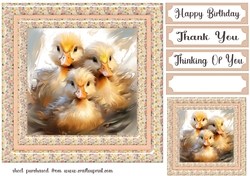 Ducks card front 3