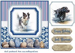 Running in the water dog card front 2