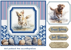 Running in the water dog card front 3