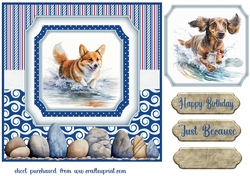 Running in the water dog card front 4