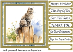 Cat on fence card front 3