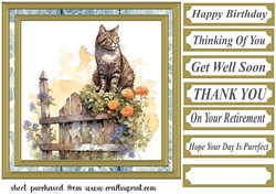 Cat on fence card front 4