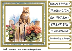 Cat on fence card front 9