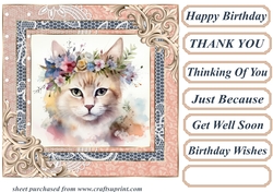 Framed floral cat card front 6