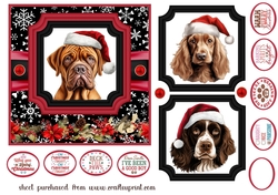 Hairy Christmas card front 12
