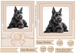 Peach 5x7 and 6x6 aprox Scottish terrier card fronts 1