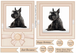 Peach 5x7 and 6x6 aprox Scottish terrier card fronts 2