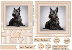 Peach 5x7 and 6x6 aprox Scottish terrier card fronts 3