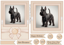Peach 5x7 and 6x6 aprox Scottish terrier card fronts 6