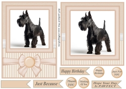 Peach 5x7 and 6x6 aprox Scottish terrier card fronts 8