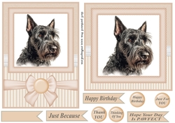 Peach 5x7 and 6x6 aprox Scottish terrier card fronts 11
